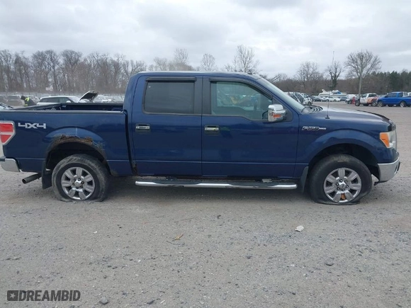 2010 Ford F-150 XL with VIN 1FTFW1EV4AFB43518, listed as a IAAI auction lot 41714704 with 225,179 mi miles. Bid and sale history available at carsss.com. Image 13.