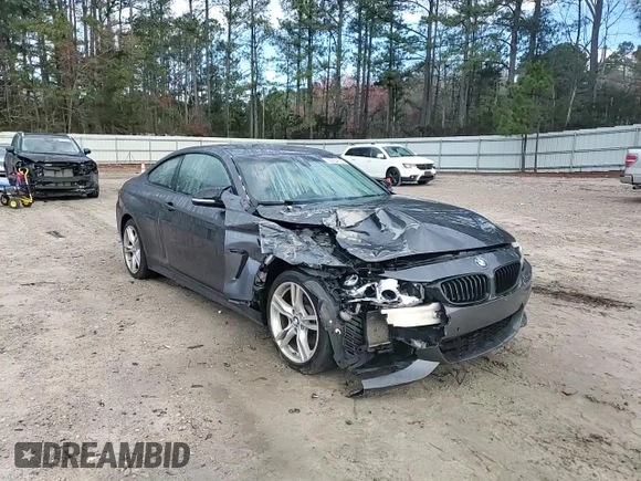 2015 BMW 4 Series 428i xDrive with VIN WBA3N5C59FK198817, listed as a Copart auction lot 50234525 with 134,233 mi miles and Salvage title. Bid and sale history available at DreamBid. Image 11.
