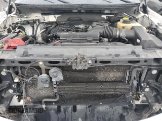 2014 Ford F-150 XL with VIN 1FTEX1EM7EFB23883, listed as a Copart auction lot 55429125 with 74,002 mi miles and Salvage title. Bid and sale history available at DreamBid. Image 11.