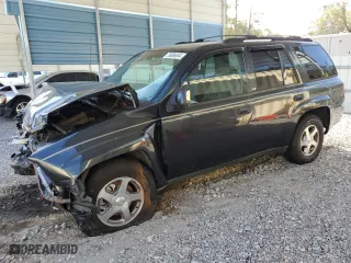 2004 Chevrolet TrailBlazer LS with VIN 1GNDS13S442162990, listed as a Copart auction lot 79086604 with 113,794 mi miles and Salvage Title. Bid and sale history available at carsss.com. Image 1.