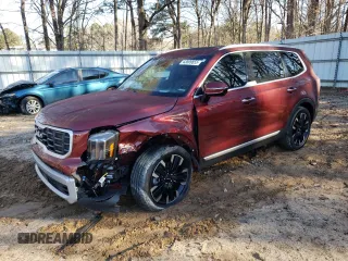 2023 Kia Telluride SX Prestige с VIN 5XYP5DGC5PG399807, выставлен на аукционе Copart как лот 43509855 с пробегом 18 812 миль миль и Списание • Salvage title. История ставок и продаж доступна на DreamBid. Изображение 1.