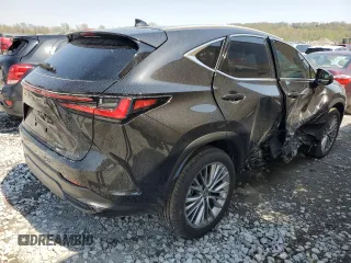 2025 Lexus NX 350 Premium with VIN 2T2GGCEZ1SC073837, listed as a Copart auction lot 53096925 with 304 mi miles and Salvage title. Bid and sale history available at DreamBid. Image 3.