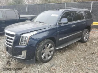 2017 Cadillac Escalade Luxury with VIN 1GYS4BKJ5HR217513, listed as a Copart auction lot 80950834 with 133,592 mi miles and Salvage Title. Bid and sale history available at carsss.com. Image 1.