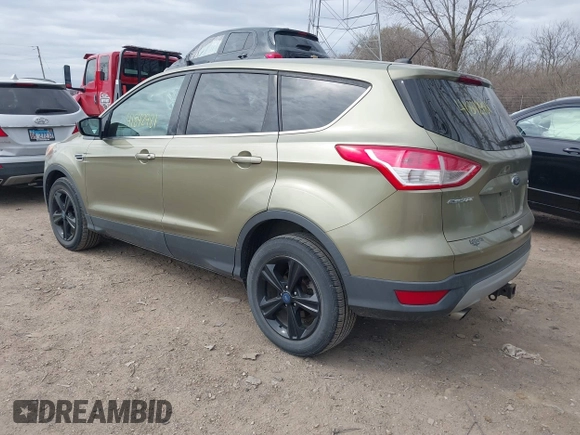 2013 Ford Escape SE with VIN 1FMCU0G90DUA41793, listed as a IAAI auction lot 41842981 with 179,312 mi miles. Bid and sale history available at carsss.com. Image 3.