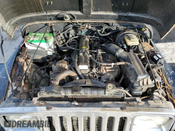 1994 Jeep Wrangler with VIN 1J4FY29S1RP461693, listed as a Copart auction lot 73662974 with 202,452 mi miles and Clean Title. Bid and sale history available at carsss.com. Image 11.
