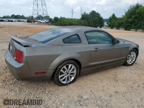 2005 Ford Mustang Deluxe with VIN 1ZVFT80N555169501, listed as a Copart auction lot 64214825 with Not provided miles and Clean title. Bid and sale history available at DreamBid. Image 3.