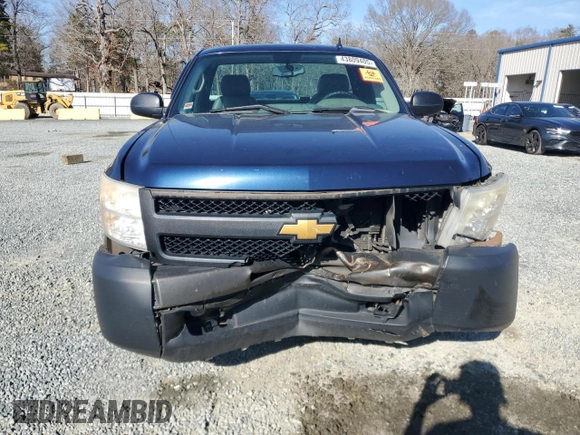 2009 Chevrolet Silverado 1500 Work Truck with VIN 1GCEC14X59Z189974, listed as a Copart auction lot 43809405 with 195,331 mi miles and Salvage Title. Bid and sale history available at DreamBid. Image 5.