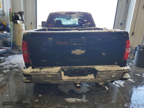 2009 Chevrolet Silverado 1500 LT with VIN 1GCEK29C99Z232923, listed as a Copart auction lot 41511355 with 248,251 mi miles and Salvage Title. Bid and sale history available at carsss.com. Image 6.