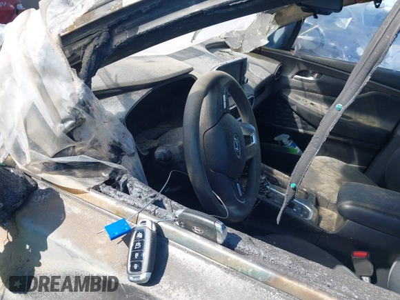 2019 Hyundai Santa Fe SEL Plus z VIN 5NMS33AD4KH049160, wystawiony jako IAAI lot #41937711 z przebiegiem 117 187 mil mil oraz . Historia ofert i sprzedaży dostępna na DreamBid. Obrazek 11.