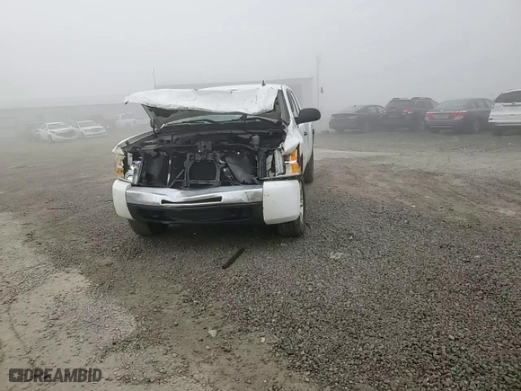 2009 Chevrolet Silverado 1500 Work Truck with VIN 2GCEK19C291133637, listed as a Copart auction lot 74618574 with 181,237 mi miles and Salvage Title. Bid and sale history available at carsss.com. Image 11.