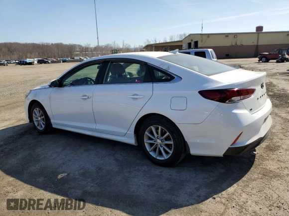 2019 Hyundai Sonata SE with VIN 5NPE24AF5KH813480, listed as a Copart auction lot 48629485 with 76,752 mi miles and Salvage Title. Bid and sale history available at carsss.com. Image 2.