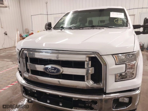 2017 Ford F-150 XL with VIN 1FTEW1EP2HKC26704, listed as a IAAI auction lot 41570389 with 134,740 mi miles. Bid and sale history available at carsss.com. Image 12.