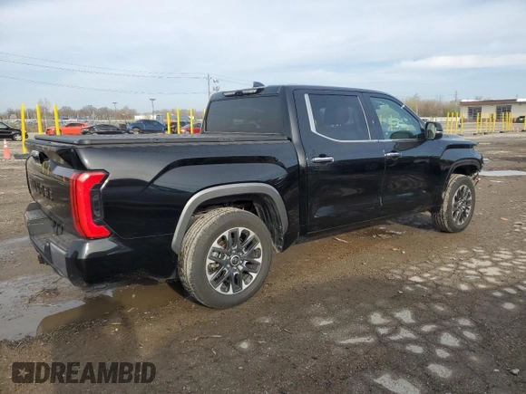 2023 Toyota Tundra Limited with VIN 5TFJA5DB9PX069197, listed as a Copart auction lot 52006175 with 7,396 mi miles and Salvage title. Bid and sale history available at DreamBid. Image 3.