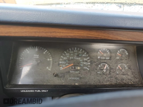 1995 Dodge Dakota with VIN 1B7GG23X1SS250126, listed as a Copart auction lot 86535174 with 317,540 mi miles and Salvage Title. Bid and sale history available at carsss.com. Image 9.