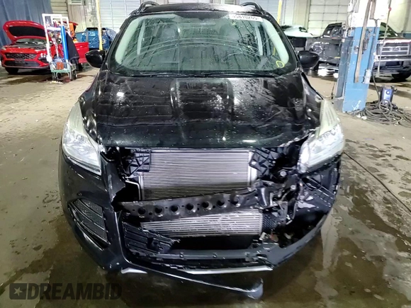 2014 Ford Escape SE with VIN 1FMCU0GX8EUE56652, listed as a Copart auction lot 45810265 with 153,495 mi miles and Clean Title. Bid and sale history available at carsss.com. Image 14.