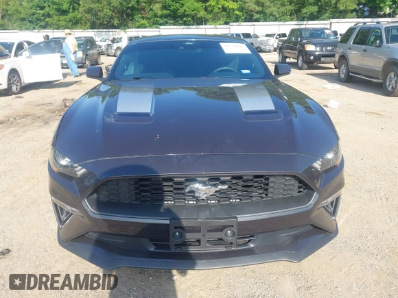 2022 Ford Mustang EcoBoost with VIN 1FA6P8TH1N5146283, listed as a IAAI auction lot 42520107 with 16,359 mi miles and . Bid and sale history available at DreamBid. Image 12.