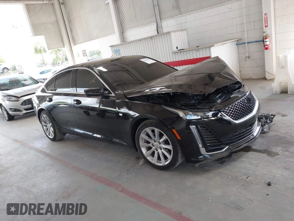2021 Cadillac CT5 Luxury с VIN 1G6DM5RK9M0146087, выставлен на аукционе IAAI как лот 42567880 с пробегом 51 776 миль миль и . История ставок и продаж доступна на DreamBid. Изображение 13.