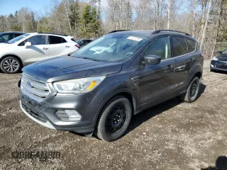 2017 Ford Escape SE with VIN 1FMCU0GD3HUD61572, listed as a Copart auction lot 51241255 with 215,193 mi miles and Clean Title. Bid and sale history available at carsss.com. Image 1.