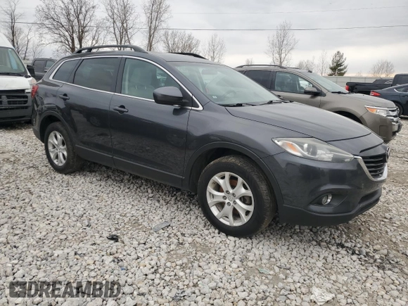 2014 Mazda CX-9 Touring with VIN JM3TB3CA9E0430881, listed as a Copart auction lot 49895605 with 166,214 mi miles and Clean Title. Bid and sale history available at carsss.com. Image 4.
