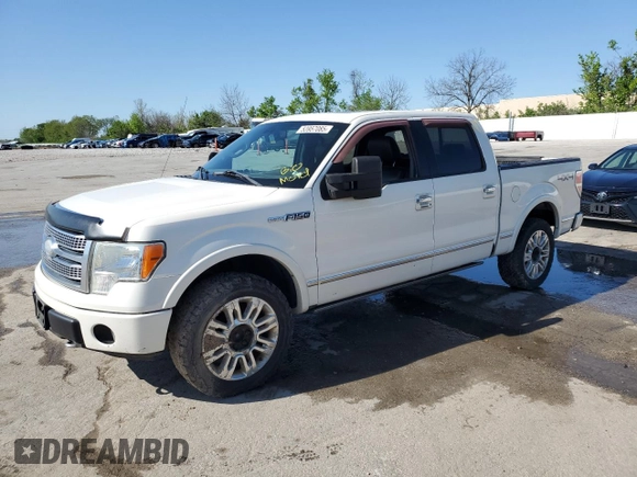 2009 Ford F-150 XL with VIN 1FTPW14V19FB17234, listed as a Copart auction lot 53957085 with 0 mi miles and Salvage Title. Bid and sale history available at carsss.com. Image 1.