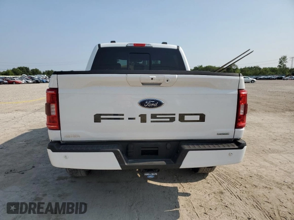 2023 Ford F-150 XL with VIN 1FTFW1E81PFA70563, listed as a Copart auction lot 60440685 with 31,198 mi miles and Salvage title. Bid and sale history available at DreamBid. Image 6.