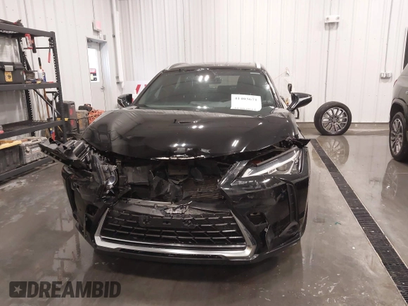 2020 Lexus UX 250h with VIN JTHX9JBH2L2036390, listed as a IAAI auction lot 41403671 with 59,038 mi miles and . Bid and sale history available at DreamBid. Image 12.