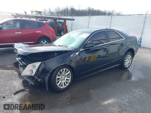 2011 Cadillac CTS with VIN 1G6DC5EY7B0118590, listed as a IAAI auction lot 41003246 with Not provided miles and . Bid and sale history available at DreamBid. Image 2.