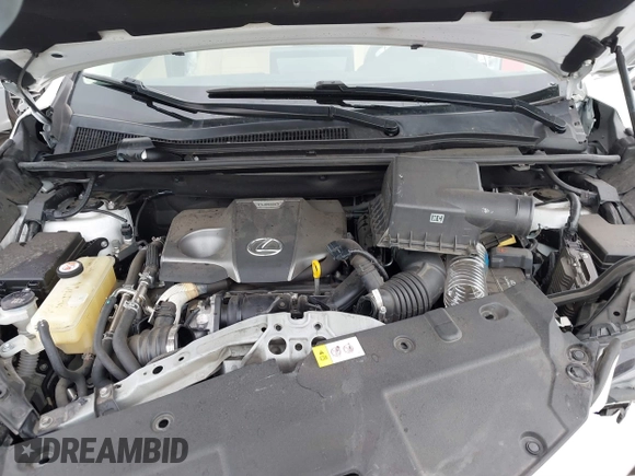 2019 Lexus NX with VIN JTJYARBZ4K2116970, listed as a IAAI auction lot 41871746 with 56,206 mi miles. Bid and sale history available at carsss.com. Image 10.