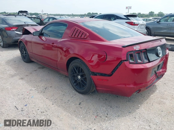 2014 Ford Mustang V6 with VIN 1ZVBP8AM7E5299126, listed as a IAAI auction lot 42343555 with 115,331 mi miles and . Bid and sale history available at DreamBid. Image 3.