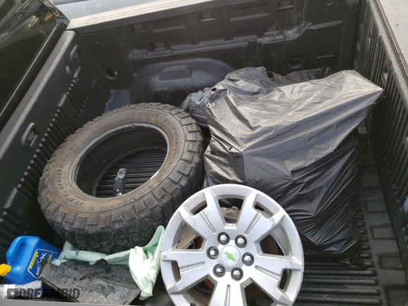2015 Chevrolet Colorado 2WD LT with VIN 1GCGSBEA2F1216005, listed as a Copart auction lot 42841381 with 0 mi miles and Non Repairable. Bid and sale history available at carsss.com. Image 9.