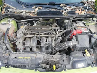 2011 Ford Fiesta SE with VIN 3FADP4EJ6BM150660, listed as a IAAI auction lot 41953032 with 175,607 mi miles. Bid and sale history available at carsss.com. Image 10.