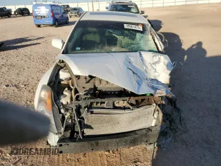 2009 Nissan Altima SL with VIN 1N4AL21E59N541827, listed as a Copart auction lot 49661475 with Not Provided miles and Salvage Title. Bid and sale history available at DreamBid. Image 5.