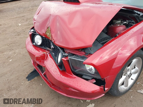 2008 Ford Mustang GT Deluxe with VIN 1ZVHT85H585146235, listed as a IAAI auction lot 41277038 with 138,033 mi miles and . Bid and sale history available at DreamBid. Image 6.