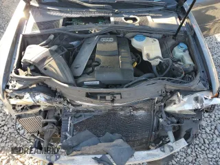 2009 Audi A4 Special Edition with VIN WAUAF48H39K007835, listed as a Copart auction lot 75881444 with Not provided miles and Salvage title. Bid and sale history available at DreamBid. Image 11.