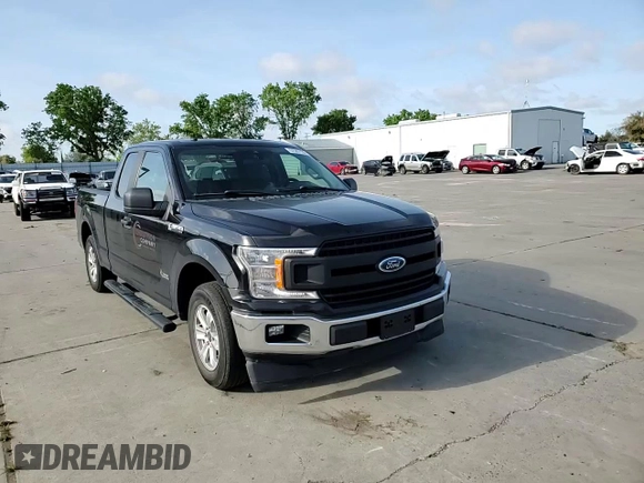 2019 Ford F-150 XL with VIN 1FTEX1CP9KKC99107, listed as a Copart auction lot 52387135 with 36,450 mi miles and Salvage title. Bid and sale history available at DreamBid. Image 10.
