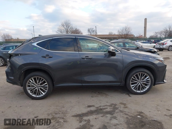 2023 Lexus NX with VIN 2T2HGCEZ2PC024481, listed as a IAAI auction lot 41203195 with 1 mi miles. Bid and sale history available at carsss.com. Image 12.
