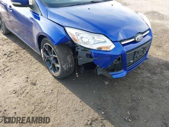 2013 Ford Focus SE with VIN 1FADP3F25DL198429, listed as a IAAI auction lot 41136019 with 123,810 mi miles. Bid and sale history available at carsss.com. Image 6.