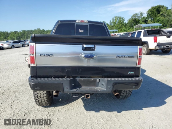 2010 Ford F-150 XL with VIN 1FTFW1EV7AFD74218, listed as a Copart auction lot 61984735 with 173,577 mi miles and Salvage title. Bid and sale history available at DreamBid. Image 6.