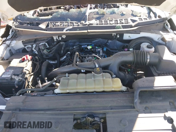 2019 Ford F-150 XL with VIN 1FTEW1CP8KKE80752, listed as a IAAI auction lot 41623727 with Not Provided miles and . Bid and sale history available at carsss.com. Image 10.