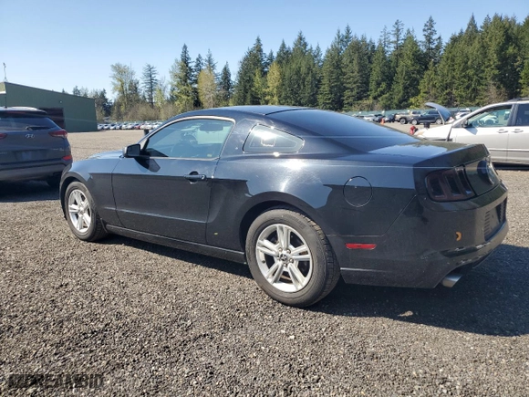 2014 Ford Mustang V6 with VIN 1ZVBP8AM6E5217452, listed as a Copart auction lot 53317265 with 170,569 mi miles and Salvage Title. Bid and sale history available at carsss.com. Image 2.