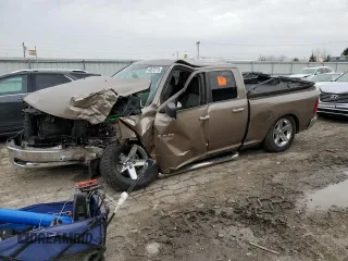 2010 Dodge 1500 SLT with VIN 1D7RB1GT0AS165095, listed as a Copart auction lot 49572775 with Not Provided miles and Non Repairable. Bid and sale history available at carsss.com. Image 1.