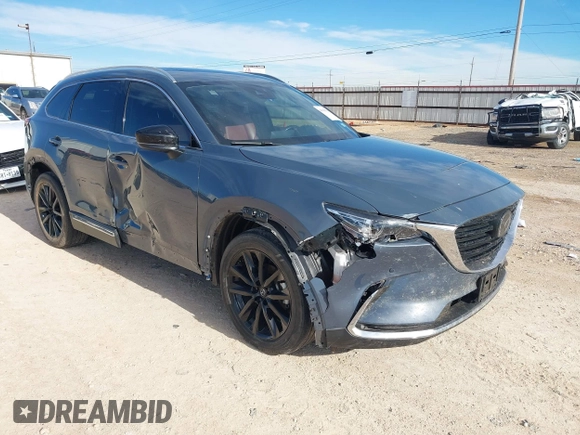 2022 Mazda CX-9 Grand Touring with VIN JM3TCBDY6N0613996, listed as a IAAI auction lot 41018105 with 58,110 mi miles. Bid and sale history available at carsss.com. Image 1.