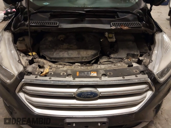 2017 Ford Escape SE with VIN 1FMCU9G94HUE08060, listed as a IAAI auction lot 41856229 with 187,838 mi miles and . Bid and sale history available at carsss.com. Image 10.
