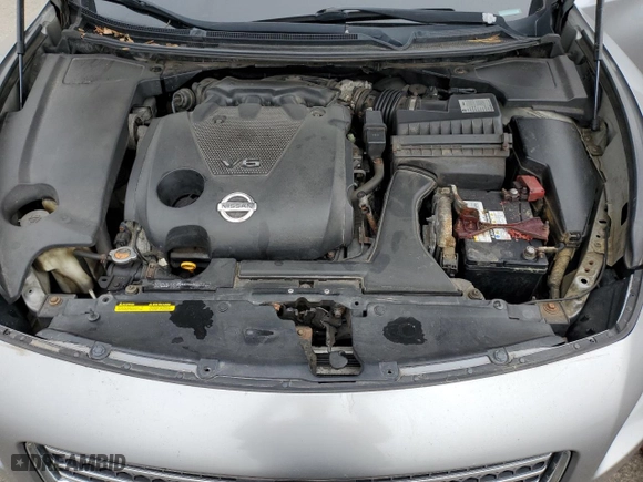 2009 Nissan Maxima 3.5 S with VIN 1N4AA51E69C845638, listed as a Copart auction lot 49789285 with 206,433 mi miles and Salvage Title. Bid and sale history available at carsss.com. Image 13.