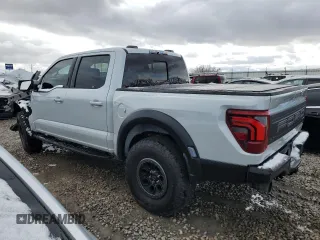 2024 Ford F-150 Raptor with VIN 1FTFW1RGXRFB06240, listed as a Copart auction lot 48020095 with Not Provided miles and Salvage Title. Bid and sale history available at DreamBid. Image 2.