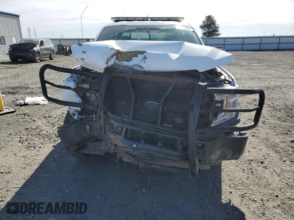 2019 Ford F-150 with VIN 1FTEW1P44KKD50970, listed as a Copart auction lot 56162645 with 153,050 mi miles and Salvage title. Bid and sale history available at DreamBid. Image 5.
