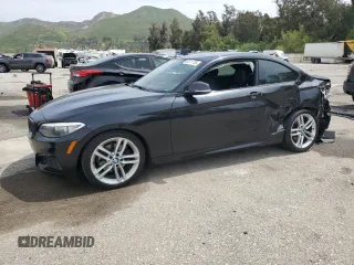 2016 BMW 2 Series 228i z VIN WBA1F9C58GV742509, wystawiony jako Copart lot #53211755 z przebiegiem 91 200 mil mil oraz Szkoda całkowita • Salvage title. Historia ofert i sprzedaży dostępna na DreamBid. Obrazek 1.