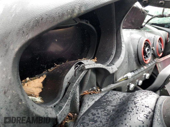 2019 Audi RS 3 with VIN WUABWGFF4KA904106, listed as a Copart auction lot 72851844 with Not provided miles and Salvage title. Bid and sale history available at DreamBid. Image 9.