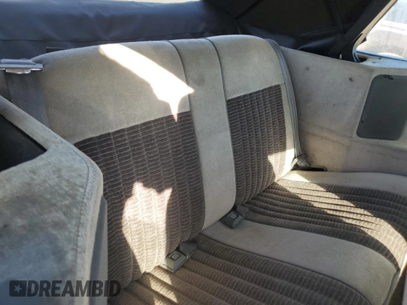 1989 Chevrolet Cavalier with VIN 1G1JF31W1K7190840, listed as a Copart auction lot 77747934 with Not Provided miles and Salvage Title. Bid and sale history available at DreamBid. Image 10.