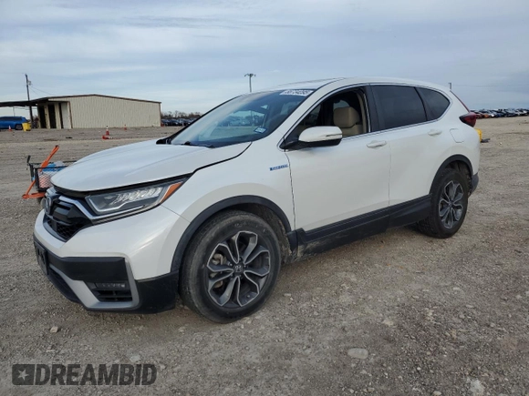 2020 Honda CR-V EX with VIN 7FART6H59LE020579, listed as a Copart auction lot 88734095 with 83,533 mi miles and Salvage Title. Bid and sale history available at DreamBid. Image 1.